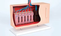 轰炸手机号在线使用